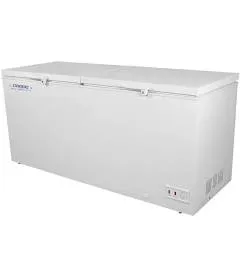 CONGELADORA TAPA DURA DUAL BD-600